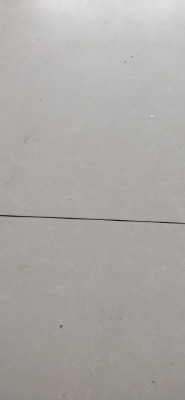bN