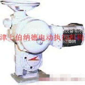 SD系列A+RS100執行器