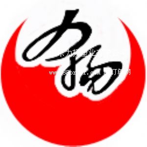 山東力揚(yáng)塑業(yè)有限公司