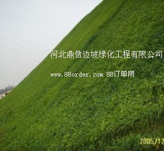 專業(yè)邊坡綠化施工