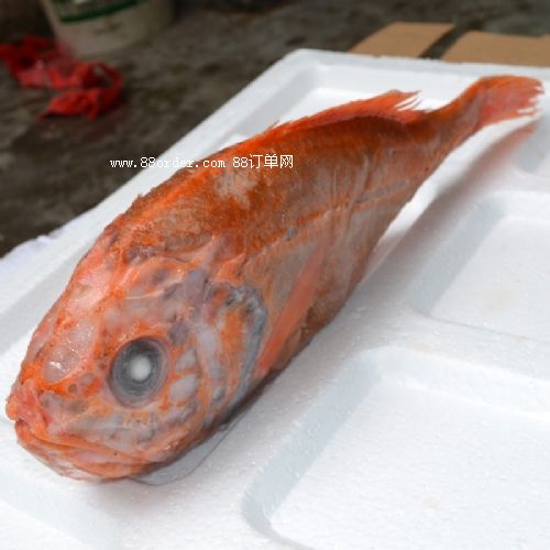 ˮarL깩mL~|ٚq~|Ŀ~