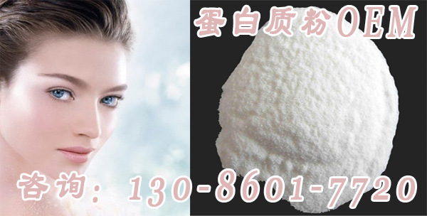 蛋白質粉價格