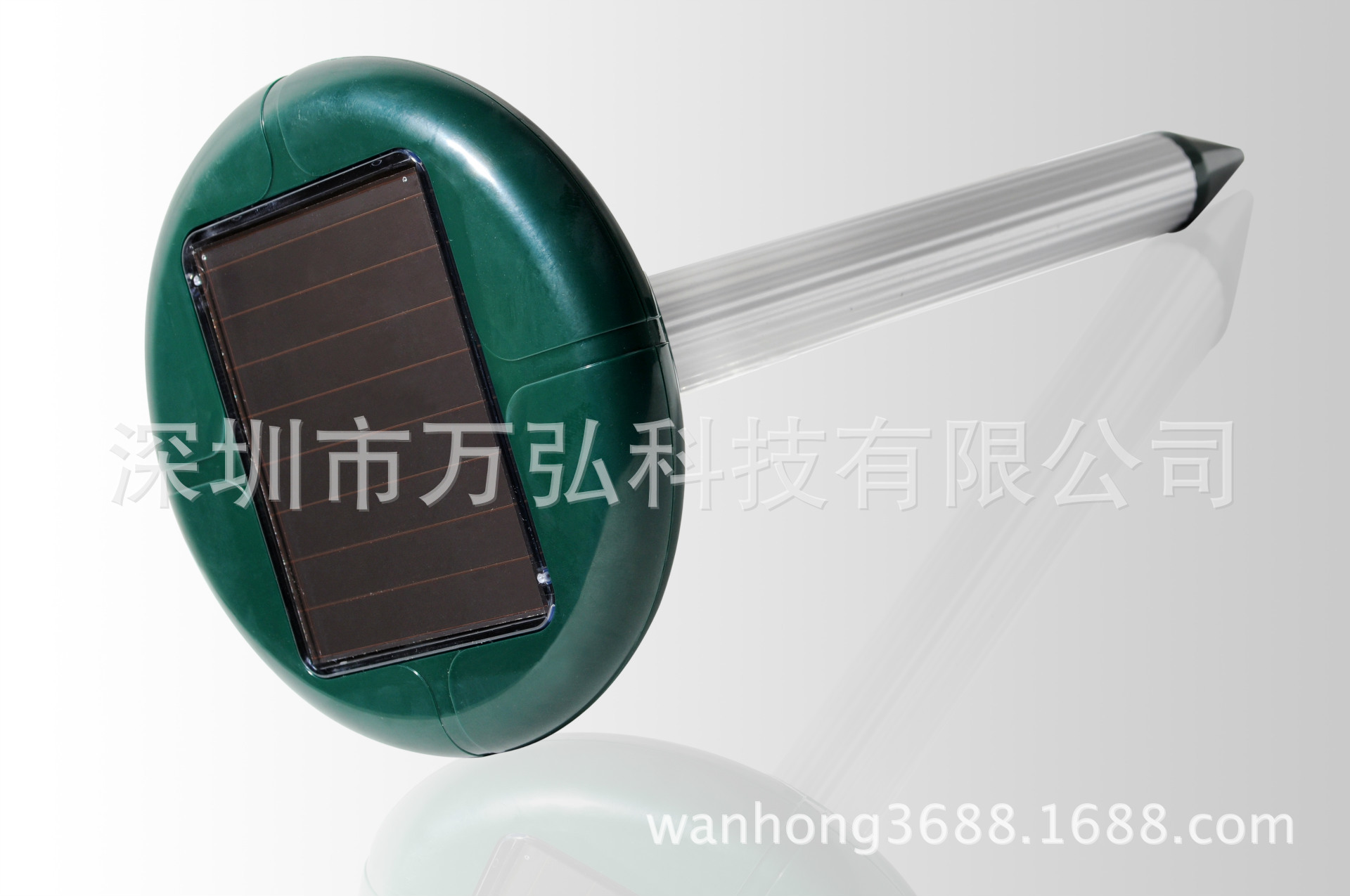 dsc_0812����